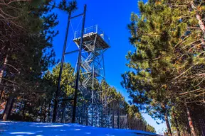 Brown County Reforestation Camp