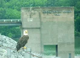 Bald Eagle State Park