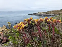 Harmony Headlands State Park