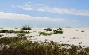 Cayo Costa State Park