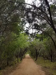 Phil Hardberger Park