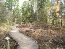 North Carolina Botanical Garden