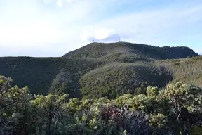 Robert Louis Stevenson State Park