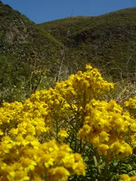 Garrapata State Park