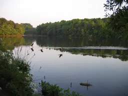 Buddy Attick Lake Park