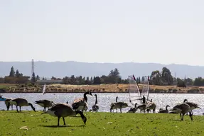 Shoreline Park