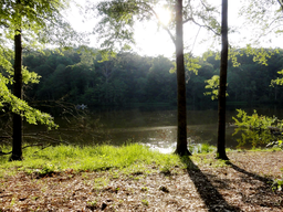 Lake Lurleen State Park