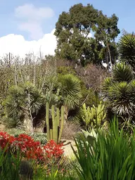 UCI Arboretum