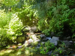 Mount Shasta City Park