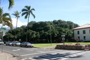 Lahaina Banyan Court