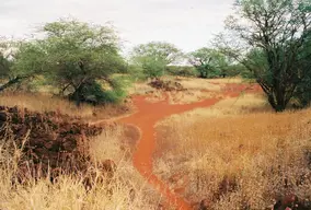 Russian Fort Elizabeth State Historical Park