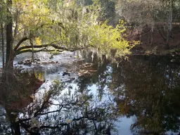 O'Leno State Park