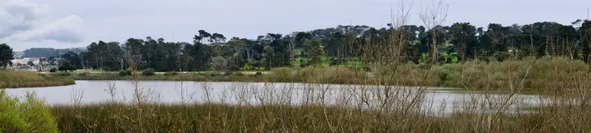 Lake Merced Park