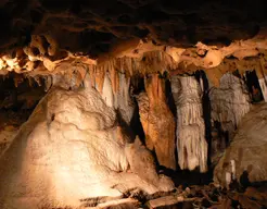 Florida Caverns State Park