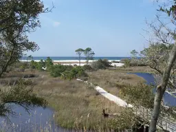 Camp Helen State Park