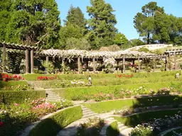 Berkeley Rose Garden