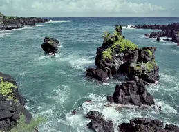 Waiʻānapanapa State Park