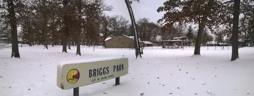 Briggs Park