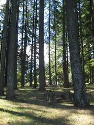 Bald Peak State Scenic Viewpoint