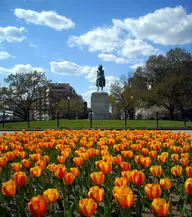 Washington Circle Park