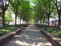 Piatt Park