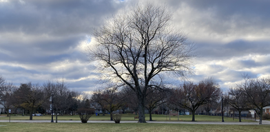 Leider Park