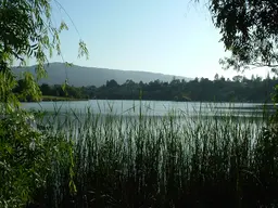 Vasona Lake County Park