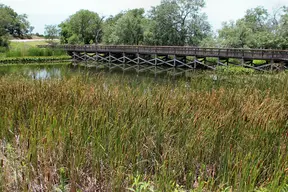 Cedar Hill State Park