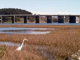 Bothin Marsh Preserve