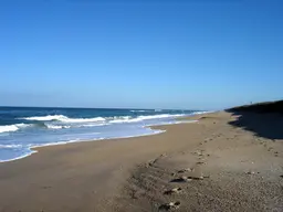 Canaveral National Seashore