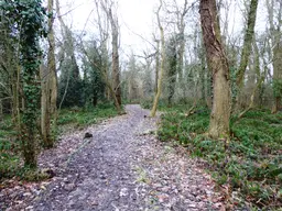 Knighton Park