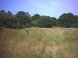 Mitcham Common