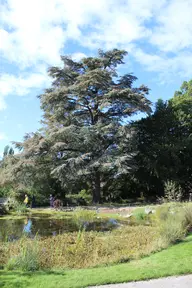 University Botanic Garden