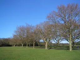 Southampton Common