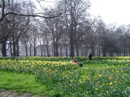 The Green Park