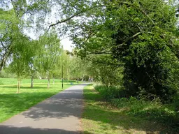 Hills Meadow