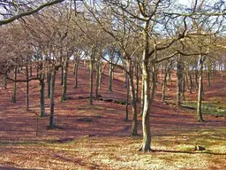 Tandle Hill Country Park