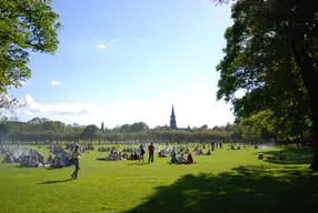 The Meadows