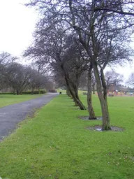 Sandall Park