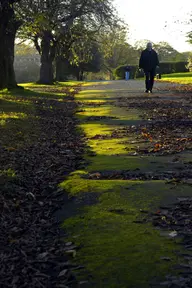 Armley Park