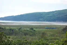 Ynys-hir RSPB