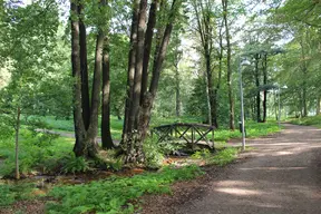 Boulognerskogen