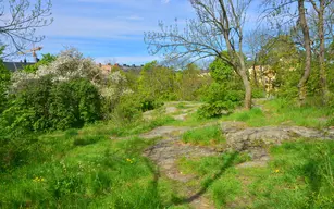 Högalidsparken