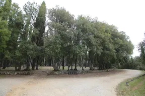 Parco il Tondo