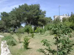 Orto botanico di Lecce