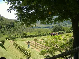 Giardino delle Erbe