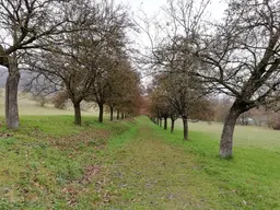 Parco del Paleotto