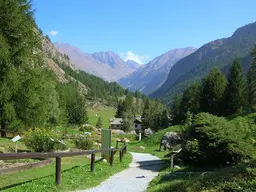 Giardino Alpino Paradisia