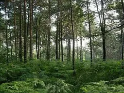 Centro Didattico Scientifico - Sentiero Natura