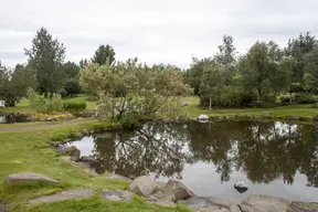 Botanical Garden of Reykjavik